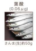 葉酸