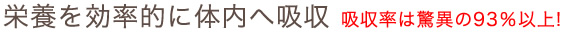 栄養を効率的に体内へ吸収、吸収率は驚異の93％以上!