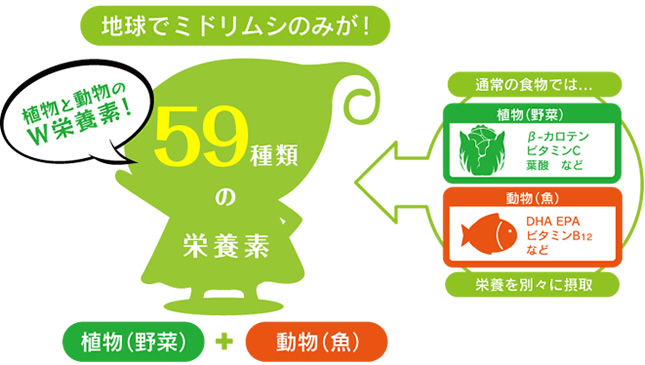 59種類の栄養素
