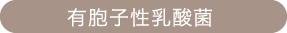 有胞子性乳酸菌