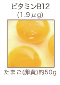 ビタミンB12