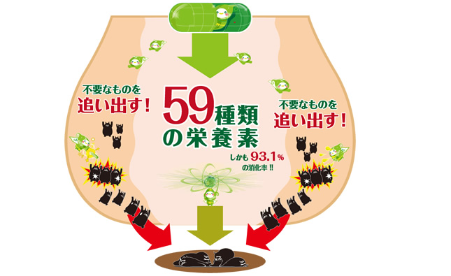 不要なものを追い出す！59種類の栄養素