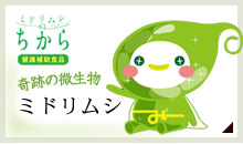 奇跡の微生物「ミドリムシ」